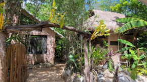 Casa & Palapa de la Selva